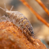 Tidjani Fousseni Salami Cisse Tidjani Fousseni Salami Cisse